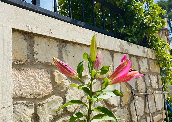 別荘 Maison Au Calme Proche *